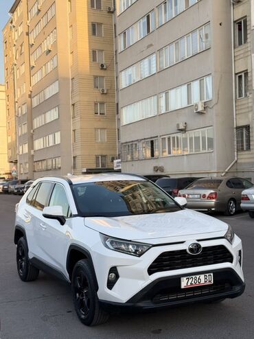 фара на поло: Toyota RAV4: 2021 г., 2.5 л, Автомат, Бензин, Кроссовер