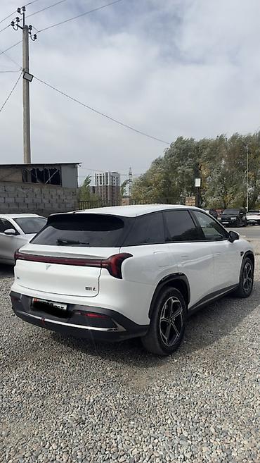 Продажа авто: NETA L последовательный гибрид запасом хода 1310 (белый, кроссовер) — 5