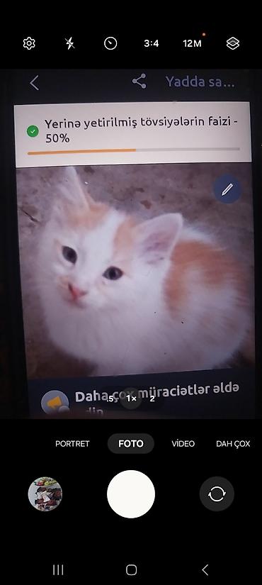 sahiblendir: Yaxşı əllərə — 1