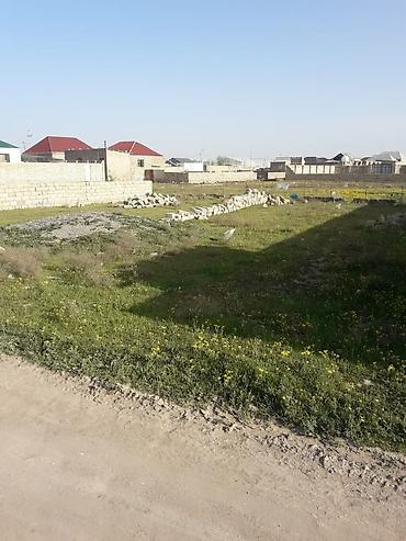 maştağa kiraye: 4 sot, Kənd təsərrüfatı, Mülkiyyətçi, Kupça (Çıxarış) — 1