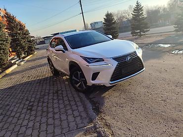 Lexus: Lexus NX: 2019 г., Вариатор, Гибрид, Кроссовер — 3