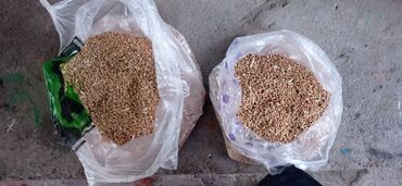 Крупы, мука, сахар: Срочно тазаланган буудай сатылат ! Продаю пшеницу очищенную|50 тонна