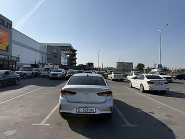 Hyundai: Hyundai Sonata: 2019 г., 2 л, Автомат, Газ, Седан — 6