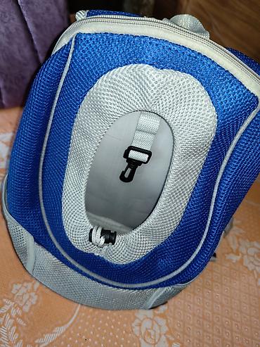 маленький собаки: Рюкзак для собак мелких пород — 5