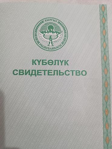 12: Красная книга — 1