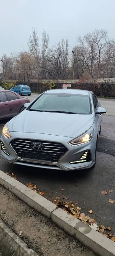 андроид авто: Hyundai Sonata: 2019 г., 2 л, Автомат, Газ, Седан
