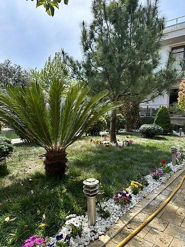 ремонт стабилизаторы: Peşəkar landşaft dizaynı və yaşıllaşdırma xidməti - Həyət və bağların — 2