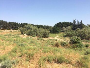 Torpaq sahələrinin satışı: 45 sot, Tikinti, Makler, Kupça (Çıxarış) — 9