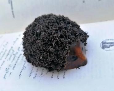 Figure: JEŽ vintage umetnička keramika. Umetnička keramika. Dimenzije cca: 8 x — 4