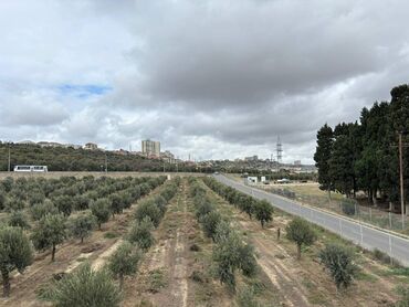 Həyət evləri və villaların satışı: 4 otaqlı, 150 kv. m, Yeni təmirli -da lalafo.az — 27 Həyət evləri və villaların satışı: 4 otaqlı, 150 kv. m, Yeni təmirli — 27