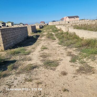 xacmazda dasinmaz emlak: Kənd təsərrüfatı, Mülkiyyətçi, Kupça (Çıxarış), Texniki pasport