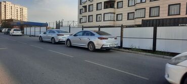 соната: Hyundai Sonata: 2018 г., 2 л, Автомат, Газ, Седан