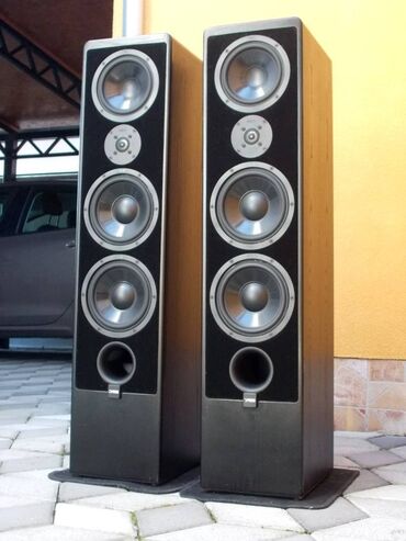 Zvučnici i stereo sistemi: Canton Ergo 92 DC Snažne i zvučno veoma kvalitetne zvučne kutije — 1