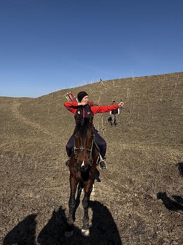 Туристические услуги: Конная прогулка - это мощнейшая эмоциональная встряска, которая — 5