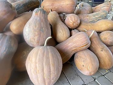 купить квашеную капусту: Продаю тыкву, плотная ароматная,сладкая. Для кулинарии и запекания — 2