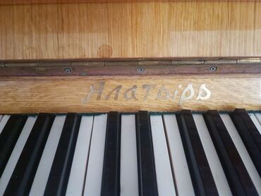 пианино сколько стоит: Piano, Akustik