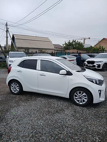 Kia: Kia Picanto: 2019 г., 0.1 л, Автомат, Бензин, Хэтчбэк — 6