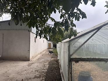 Продажа коттеджей и домов: 3 комнаты, 68 м², 8 соток, Орловка, Собственник — 24