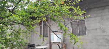 Həyət evləri və villaların satışı: Salam sexsi evimizi satib tecili kocuruk 8 sotda 5 otaqli kamunallari — 4