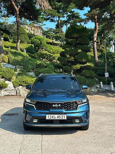 соренто 2022: Kia Sorento: 2022 г., 1.6 л, Автомат, Гибрид, Кроссовер — 1