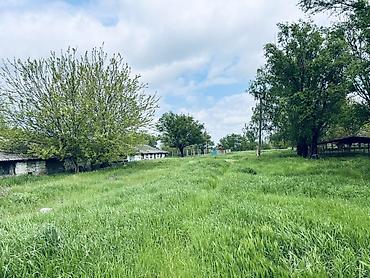 Torpaq sahələrinin satışı: Kənd təsərrüfatı, Kupça (Çıxarış) — 14
