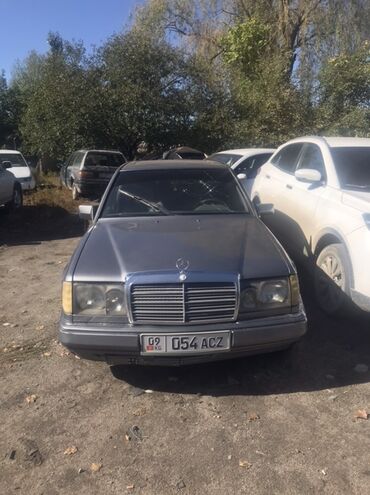 Mercedes-Benz: Mercedes-Benz W124: 1991 г., 2.5 л, Автомат, Дизель, Седан