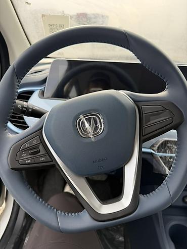 Changan: Changan Benni: 2024 г., Электромобиль, Хэтчбэк — 2