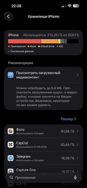 Apple iPhone: IPhone 15 Pro Max, 256 ГБ, 89 % — 2
