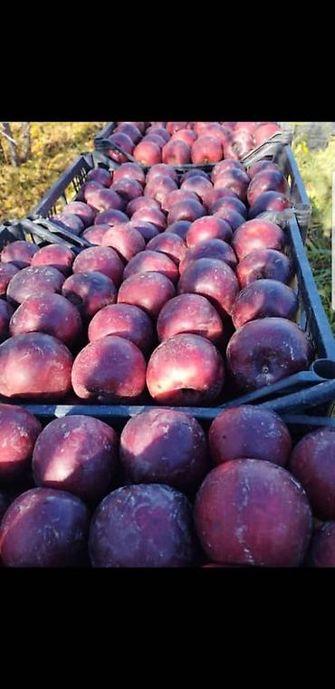 Ящики: Ящик — 4