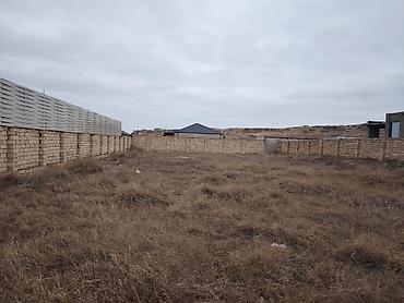 Torpaq: 12 sot, Tikinti, Mülkiyyətçi, Kupça (Çıxarış) — 2