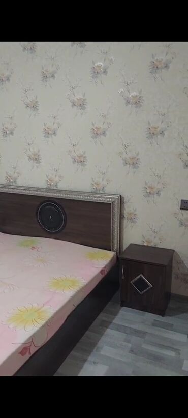 Uzunmüddətli kirayə evlər: 40 kv. m, 1 otaqlı, Kombi, Qaz, İşıq — 15