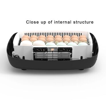 Oprema za kućne ljubimce: INKUBATOR Automatski nove generacije za 40 jaja 12v/220v — 12