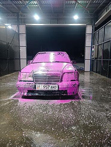 Mercedes-Benz: Mercedes-Benz W124: 1995 г., 3.2 л, Автомат, Бензин, Седан — 14