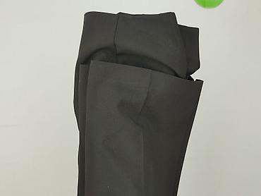 Жіночий одяг: Marks & Spencer, Брюки жіночі, розмір L — 6