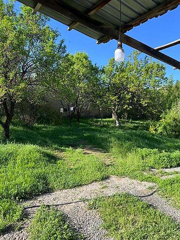 Продажа домов: Дом, 36 м², 2 комнаты, Собственник at lalafo.kg — 8 Продажа домов: Дом, 36 м², 2 комнаты, Собственник — 8