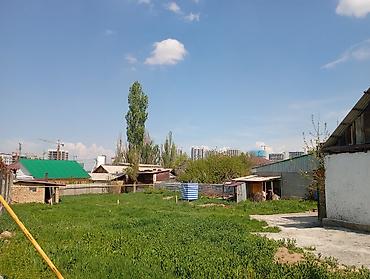 Жер тилкелери: 11 соток, Курулуш, Кызыл китеп — 1