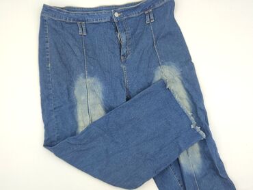 jeansy damskie podarte: Jeans for women, size 4XL (EU 48)
