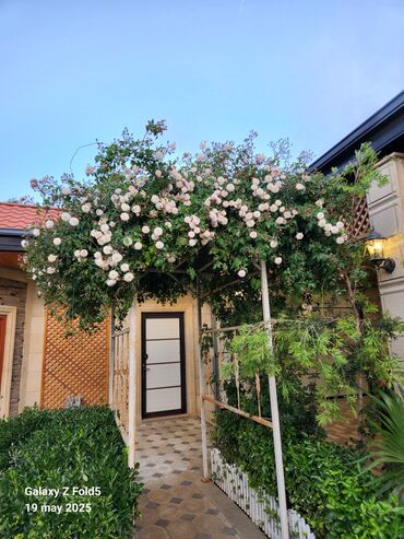 Bağ evlərinin kirayəsi: Şüvəlan qəs., 195 kv. m, 4 otaqlı, Hovuzlu, Qaz, İşıq, Artezian quyusu -da lalafo.az — 6 Bağ evlərinin kirayəsi: Şüvəlan qəs., 195 kv. m, 4 otaqlı, Hovuzlu, Qaz, İşıq, Artezian quyusu — 6