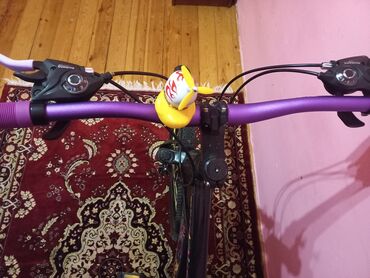 tarix test toplusu 2021: İşlənmiş Dağ velosipedi Strim, 26", sürətlərin sayı: 7, Ünvandan götürmə