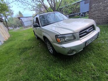 авто не нахаду: Subaru Forester: 2004 г., 2.5 л, Автомат, Бензин, Универсал