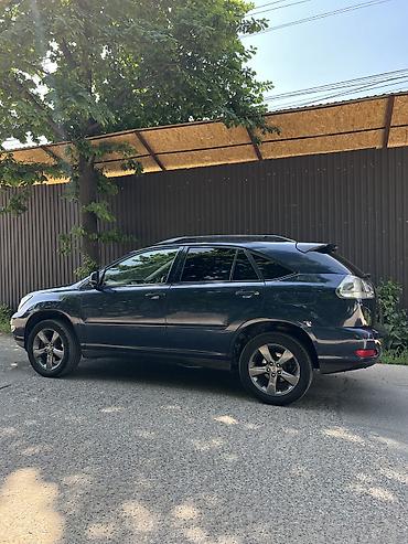 Lexus: Lexus RX: 2003 г., Кроссовер — 6