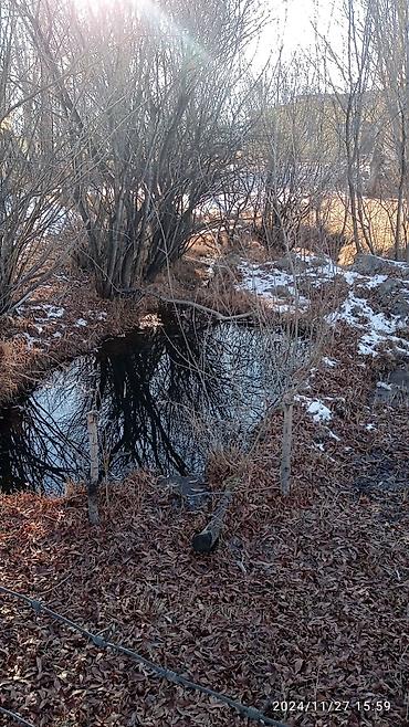 Продажа сельхоз предприятий: Ферма КРС, 25 соток, Действующий, С оборудованием, Электричество — 11