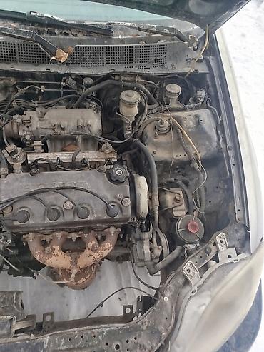 Honda: Honda Civic: 1996 г., Механика, Бензин, Седан — 1