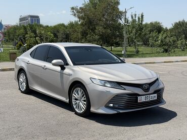 тормозной диск камри: Toyota Camry: 2019 г., 2.5 л, Вариатор, Гибрид, Седан