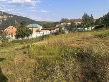 Torpaq sahələrinin satışı: 5 sot, Tikinti, Mülkiyyətçi, Kupça (Çıxarış) — 3