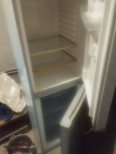 fridge: Двухкамерный холодильник с нижней морозильной камерой. Основные — 2