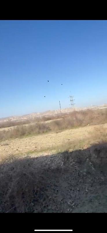 kirayə ev zabrat 1: 12 sot, Kənd təsərrüfatı, Kupça (Çıxarış) — 4