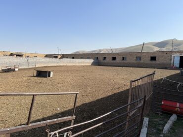 Продажа домов: Дом, 180 м², 4 комнаты, Собственник, Дизайнерский ремонт — 17