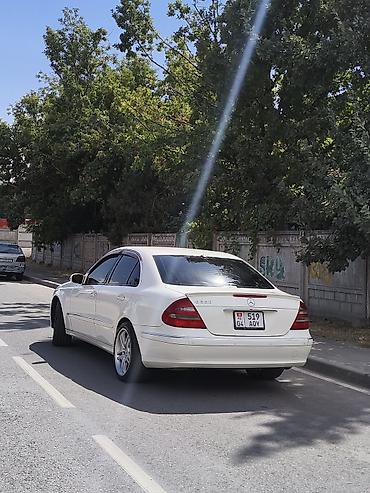 я ищу лобо: Mercedes-Benz E-Class: 2004 г., 3.2 л, Автомат, Бензин, Седан — 5