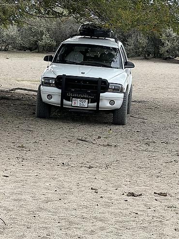 аш рв: Dodge Durango: 1999 г., 5.9 л, Автомат, Бензин, Внедорожник — 7